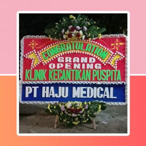 bunga papan Bandar Lampung