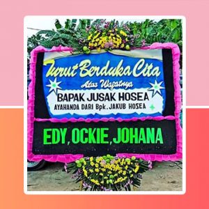 bunga papan Bandar Lampung