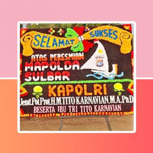 bunga papan mamuju