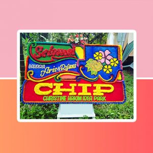 bunga papan padang
