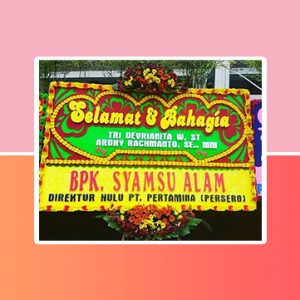 bunga papan pangkal pinang